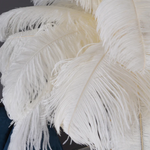 Ostrich Feather Lamp